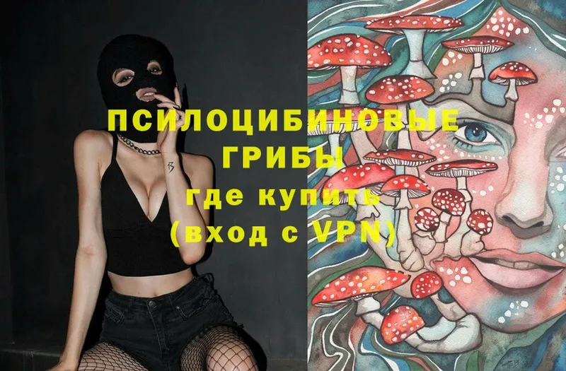 где купить   kraken как зайти  Галлюциногенные грибы Psilocybe  Берёзовский 